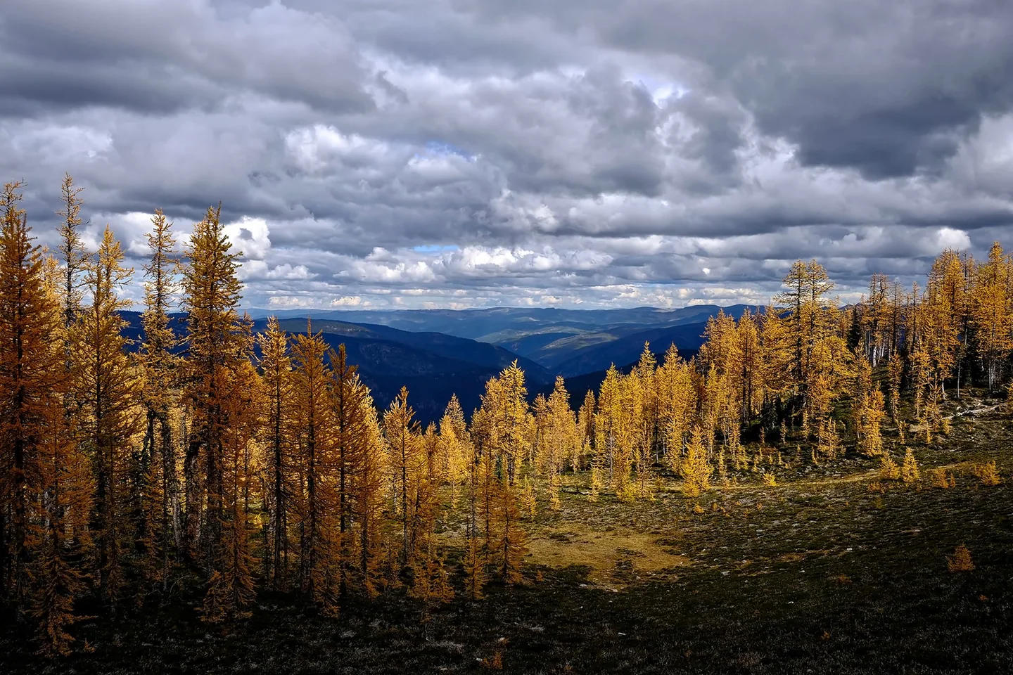 Thompson River valley near the Ashton property, BC